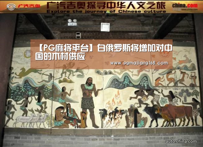 【PG麻将平台】白俄罗斯将增加对中国的木