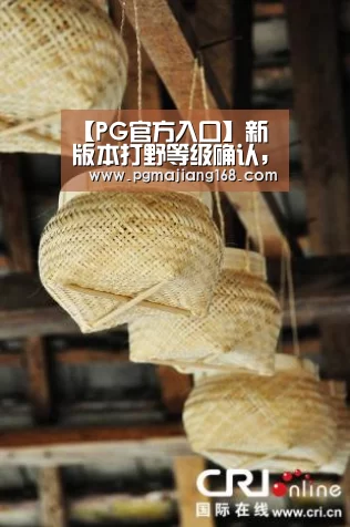 【PG官方入口】新版本打野等级确认,猴子B级,典韦A级,他是公认的3S级打野(图2) PG麻将平台