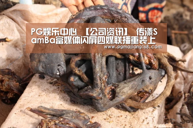 PG娱乐中心_【公司资讯】 传漾SamBa富媒体闪屏四媒联播重装上线(图1) PG麻将游戏大厅