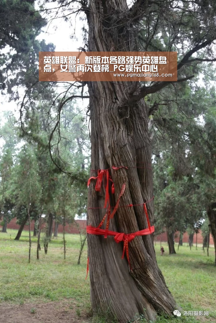 英雄联盟:新版本各路强势英雄盘点,女警再次登榜_PG娱乐中心(图2) PG娱乐中心
